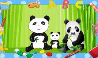 大熊猫最爱吃的竹子 大熊猫最爱吃的竹子
